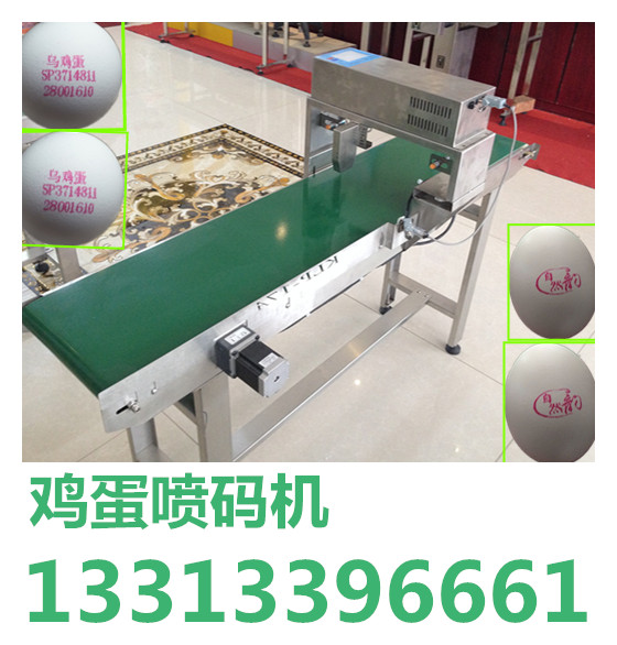 (河北/天津）小型鸡蛋喷码机生产厂家13313396661