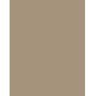 供应纤瓷板--色卡1019 Grey beige米灰色