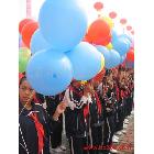 供应氦气球北京学校运动会氦气球批发价格合理