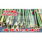 供应付来竹制品旗杆竹 大量生产竹架板,1-5米竹片，1-9米新竹片,菜架竹，旗杆