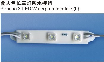 食人鱼3-LED防水模组