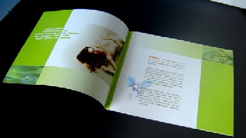 广州画册印刷厂广州包装盒印刷厂 广州手提袋印刷厂