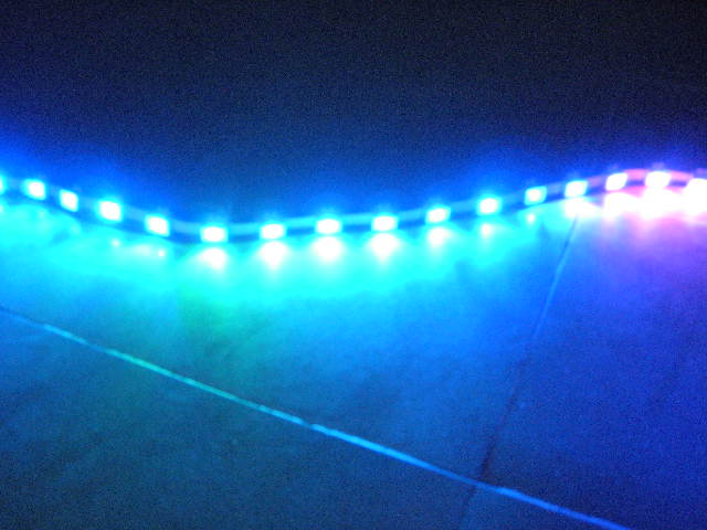 LED食人鱼灯串