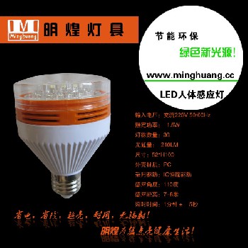 LED人体感应灯，LED声光控节能灯