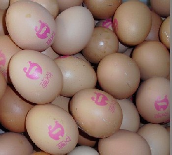 供应鸡蛋商标喷码机，食品喷码机