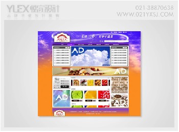 网页设计|上海网页设计|上海网页设计公司-悦宣广告