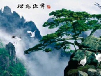 广州白云山、福建武夷山、台湾阿里山风景立体画
