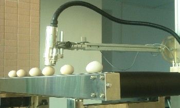 鸡蛋喷码机/半自动喷码机/食品喷码机