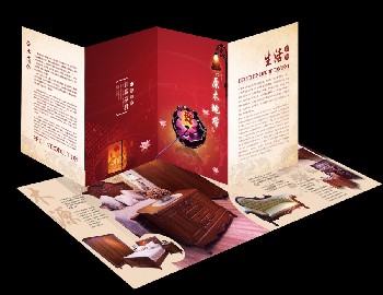 上海折页设计公司_新蕊四折页设计_折页设计制作